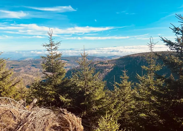 Strumyk Apartment Lubawka