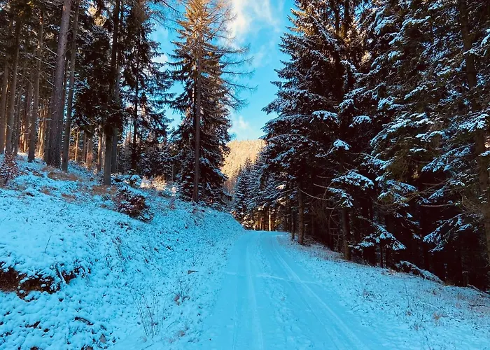 Strumyk Apartment Lubawka